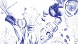 Neologismus 05/2013